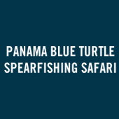 Panama Blue Turtle Spearfishing Safari